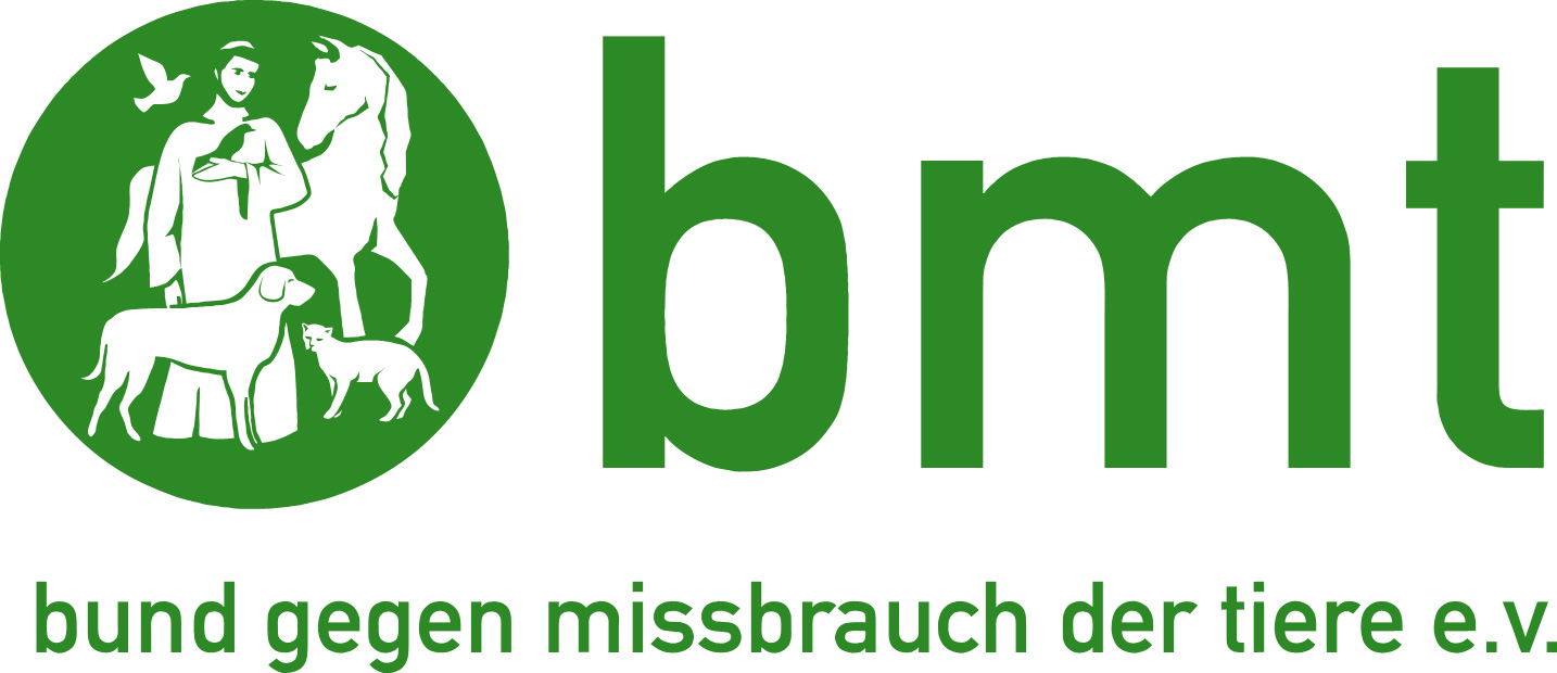 bmt-Logo