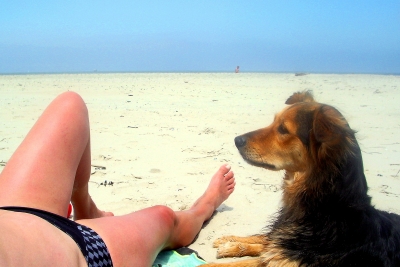 Urlaub mit Hund, © Klaus Steves / pixelio